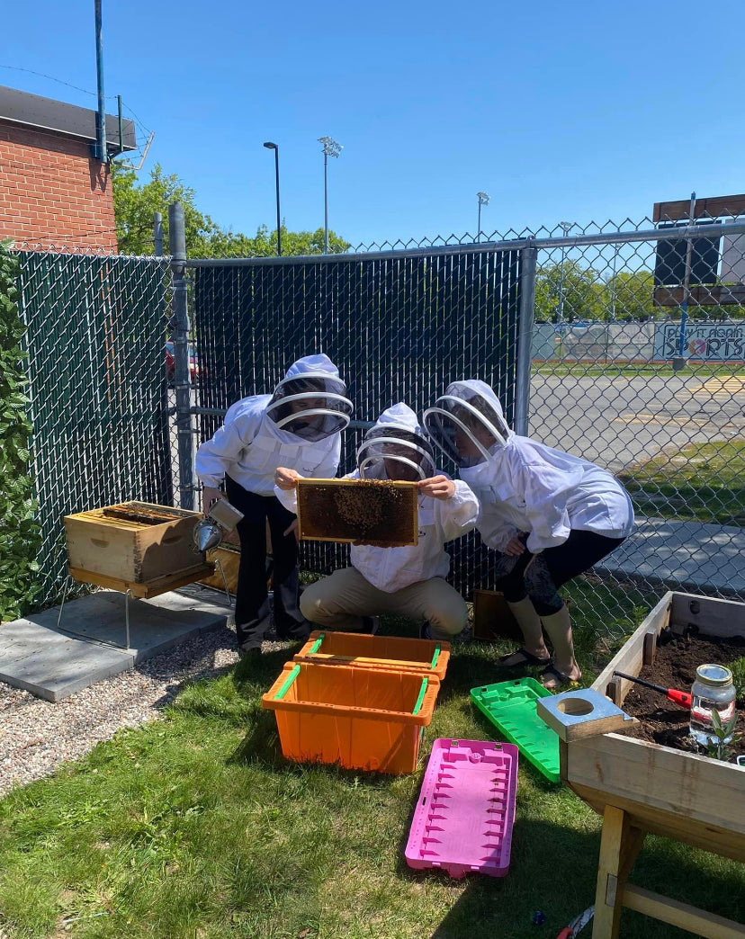 apiary-visit-miel2