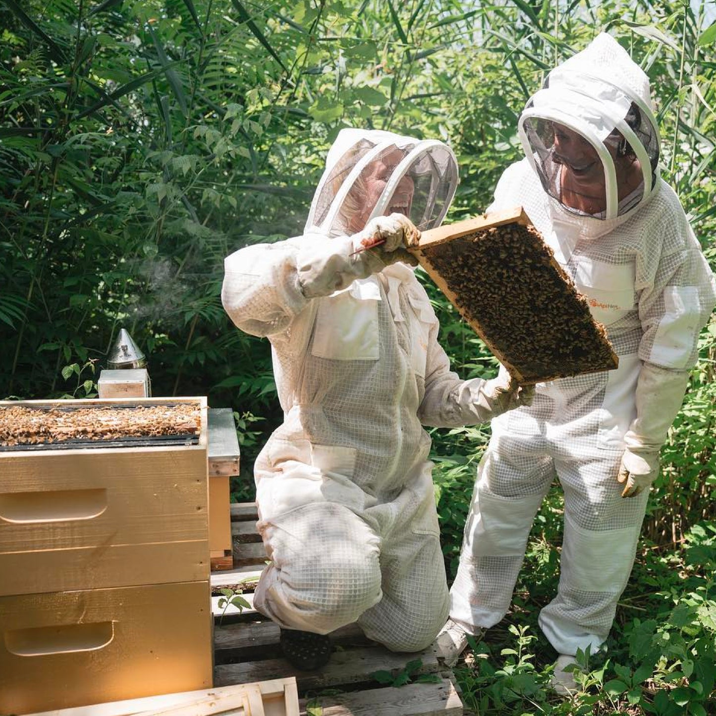 Raw unpasteurized honey